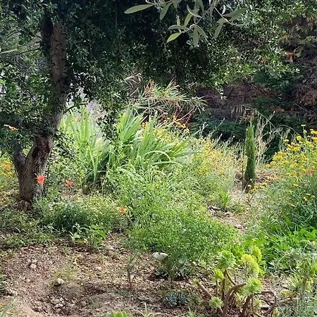 Cavaliere - Rdj 600m Plage, 2 Ch 6 Pers, 3 Etoiles Grand Confort וילה לה לבאנדו