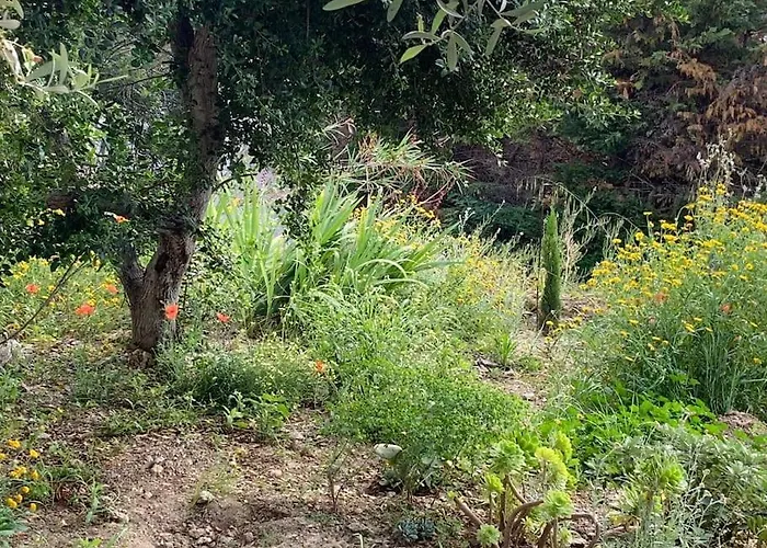 Cavaliere - Rdj 600m Plage, 2 Ch 6 Pers, 3 Etoiles Grand Confort Villa Le Lavandou